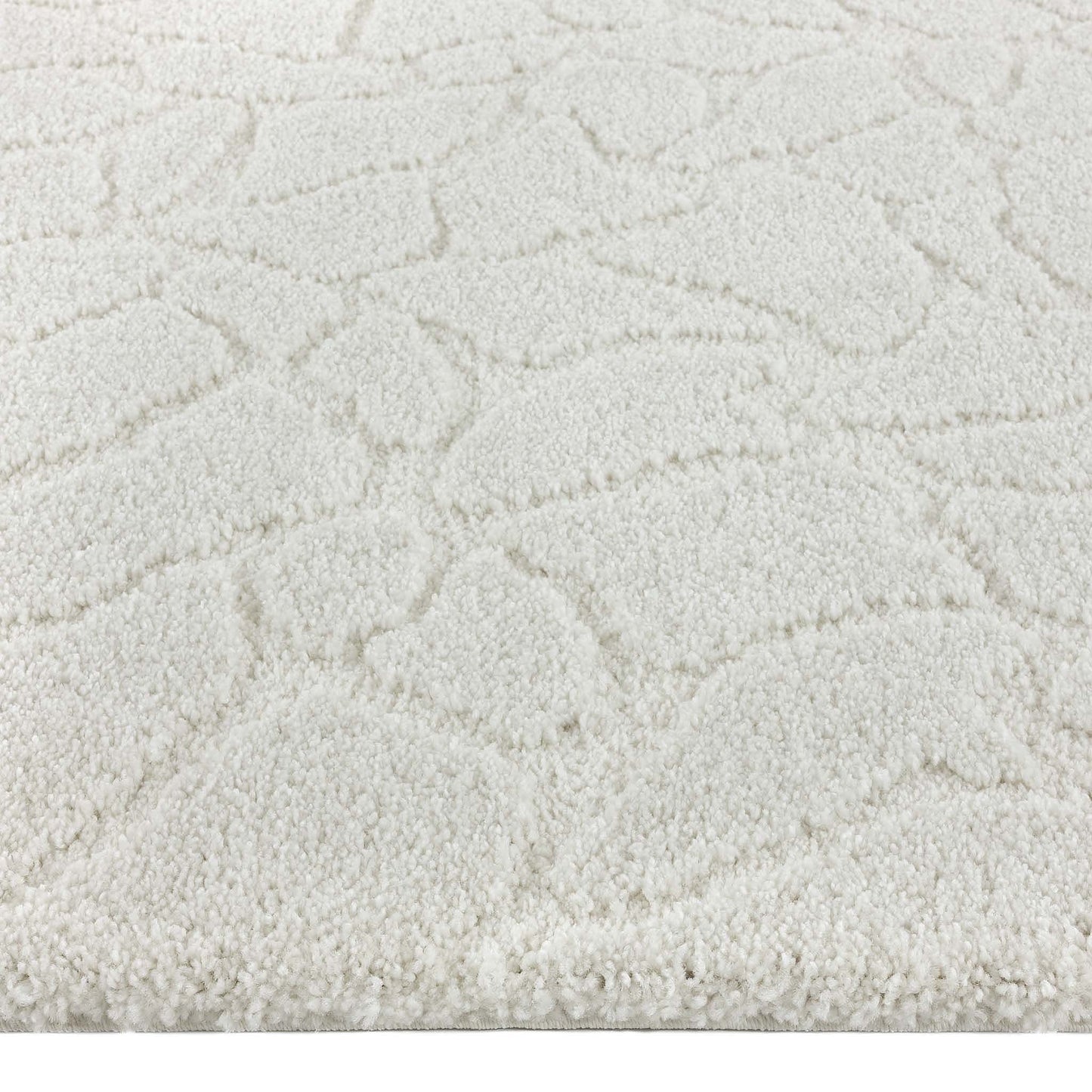 Orlando 337 Cream